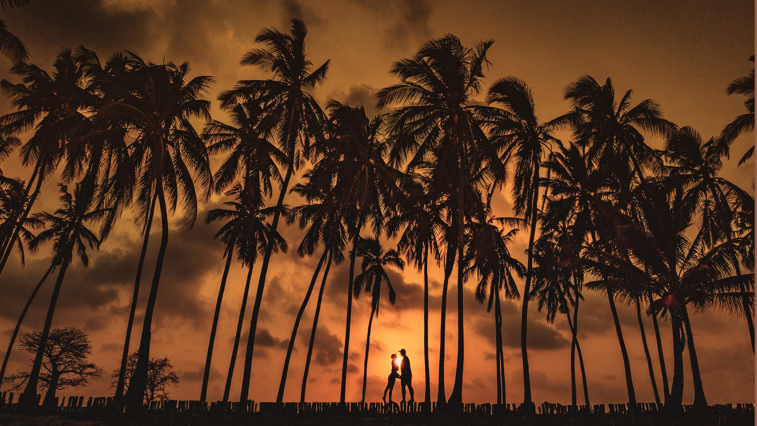 zanzibar photographer